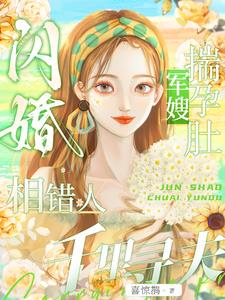 军婚闪孕一胎三宝漫画