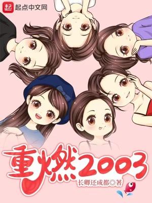 重燃2003TXT全文下载