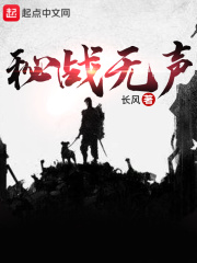 秘战无声txt完整版下载