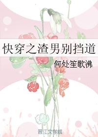 放肆娱乐圈玄笺免费阅读