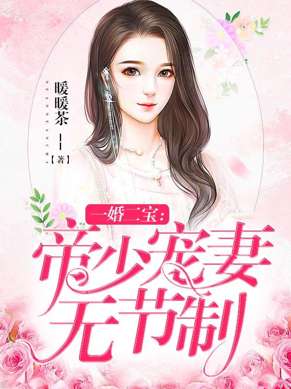 一婚二宝:帝少宠妻无节制