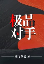 极品对手有声小说