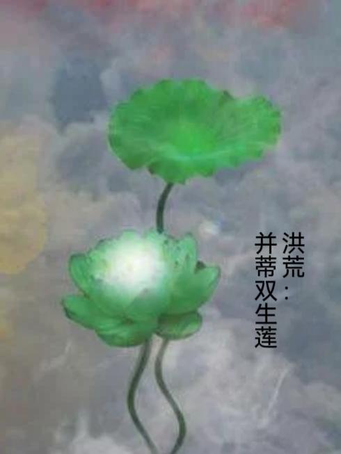 洪荒并蒂双生莲小说