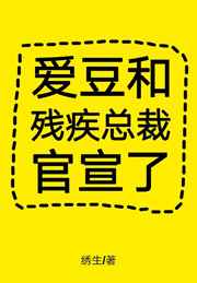 爱豆和残疾总裁官宣了txt百度云