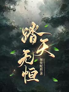 踏天无恒小说